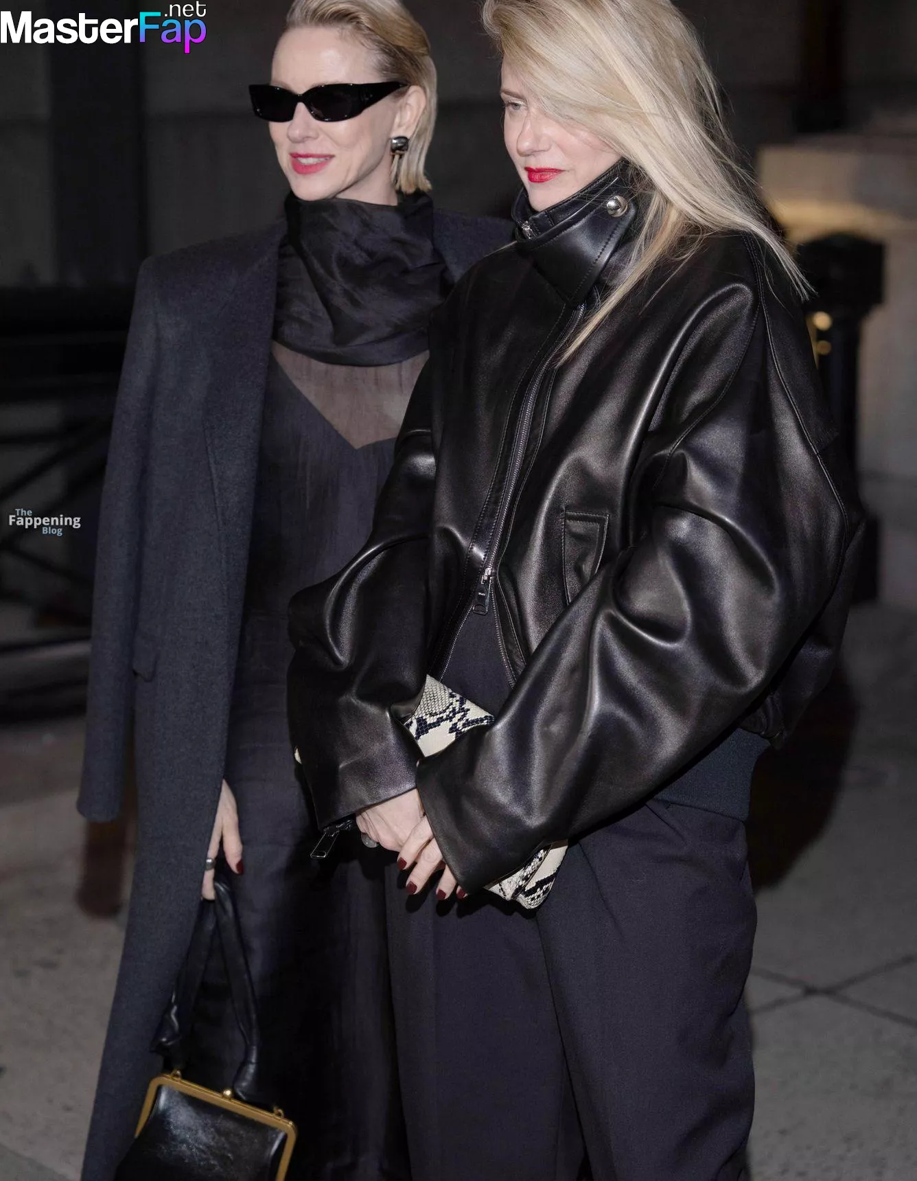 Naomi Watts Free Leaked Public leaks Picture