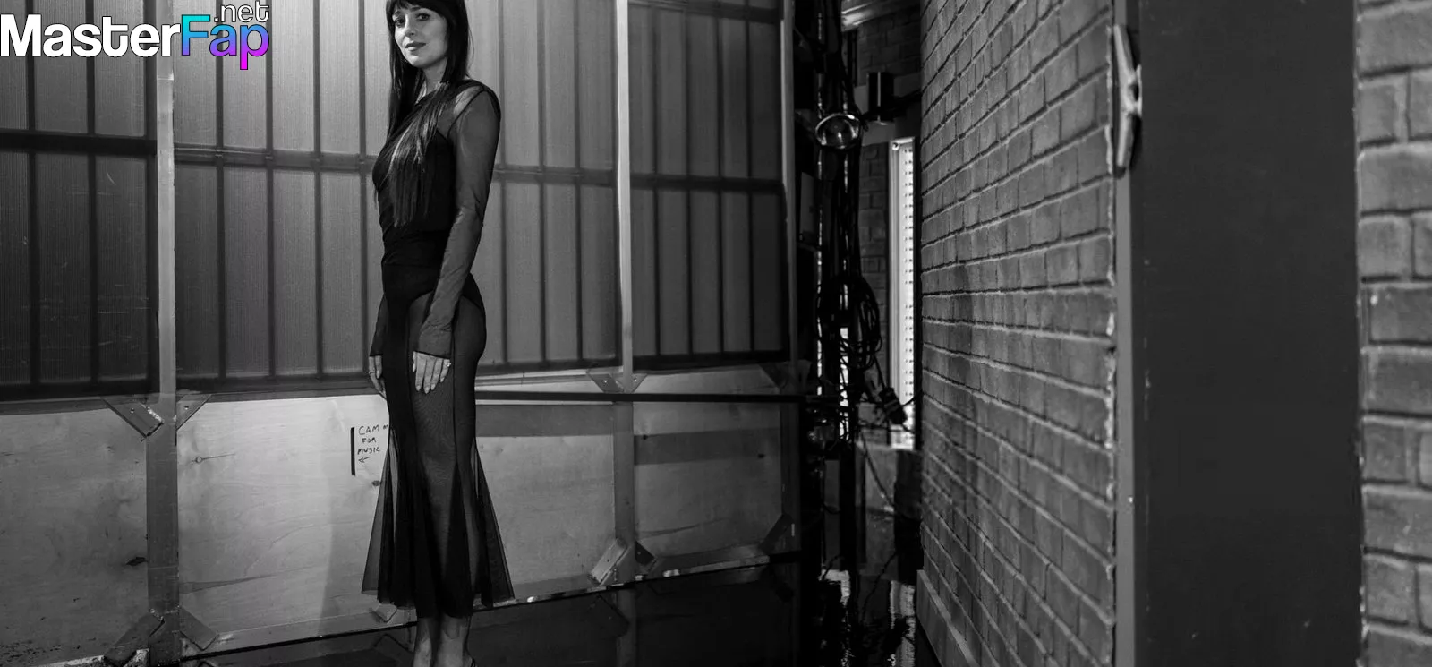 Dakota Johnson OnlyFans Leaked Boobs Picture