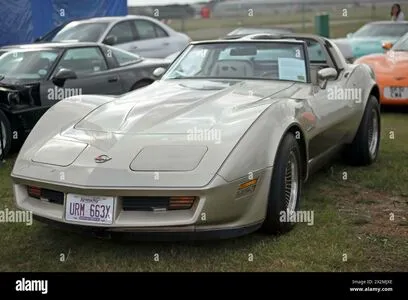 1982 Corvette OnlyFans Leaked Free Thumbnail Picture - #tXaajIKo8V