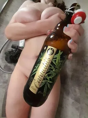 Acorn Sweetleaf Thumbnail Picture