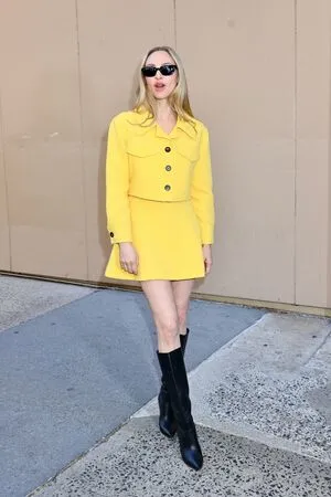 Amanda Seyfried OnlyFans Leaked Free Thumbnail Picture - #L8zClReeHZ