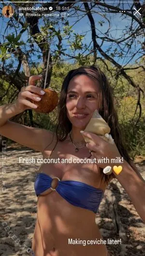 Ana Sofia Fehn OnlyFans Leaked Free Thumbnail Picture - #iAbZjfrlXm