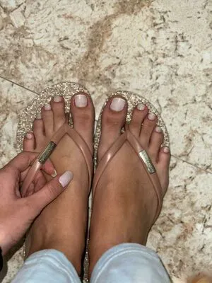 Anangelicassis Thumbnail Picture