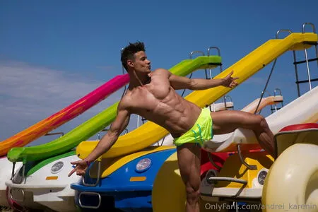 Andrei Karenin Thumbnail Picture