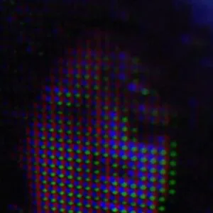 Anna Claire Clouds OnlyFans Leaked Free Thumbnail Picture - #eX0od4IcUW