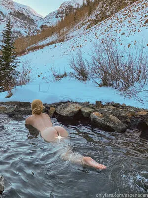 Aspenedenfree Thumbnail Picture