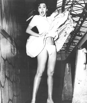 Barbara Eden OnlyFans Leaked Free Thumbnail Picture - #2GEKnvIGDs