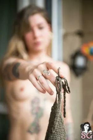 Barkmantis Thumbnail Picture