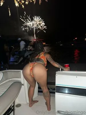 Bigmingo Thumbnail Picture