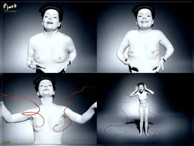 Bjork Thumbnail Picture
