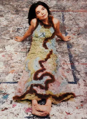 Bjrk Thumbnail Picture