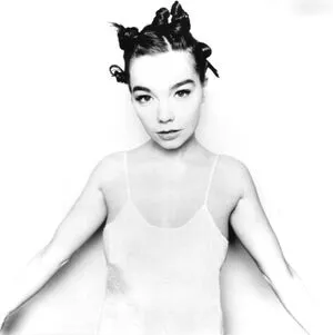 Bjrk Thumbnail Picture