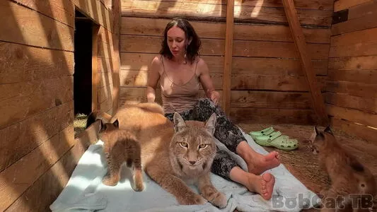 Bobcat OnlyFans Leaked Free Thumbnail Picture - #03sg7U4a4N
