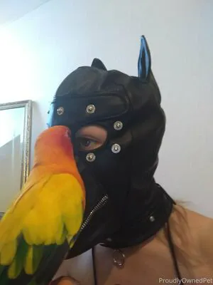 Boundbyflames OnlyFans Leaked Free Thumbnail Picture - #Gm0ISAj2a1
