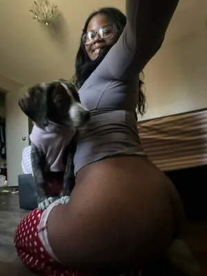 Brezilla San Thumbnail Picture