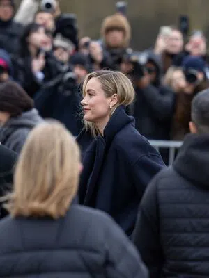 Brie Larson OnlyFans Leaked Free Thumbnail Picture - #TS5M6p289L