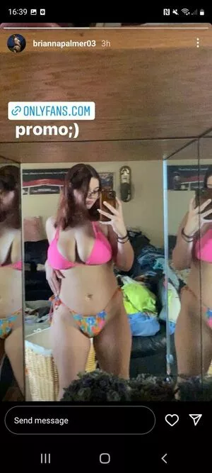 Bripalmer Thumbnail Picture