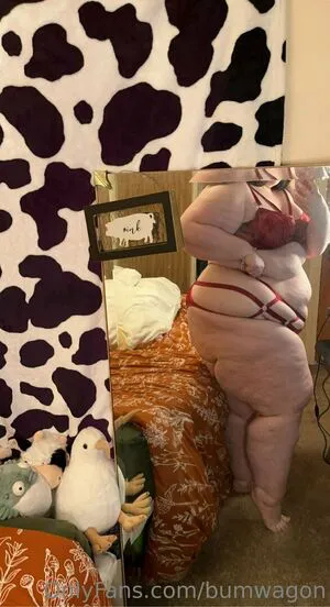 Bumwagon Thumbnail Picture