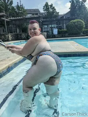Carsonthick Thumbnail Picture