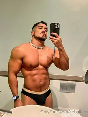 Ceballero Thumbnail Picture
