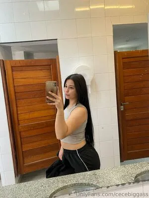 Cecebiggass Thumbnail Picture