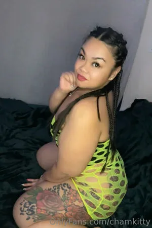 Chamkitty Thumbnail Picture