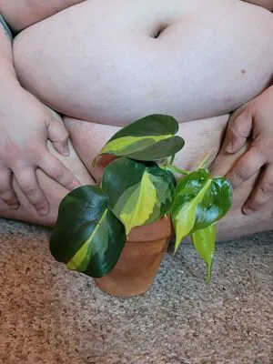 Chunkyxavocado OnlyFans Leaked Free Thumbnail Picture - #Ubfn0NuZP3