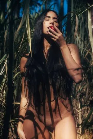 Cigana Backup Thumbnail Picture