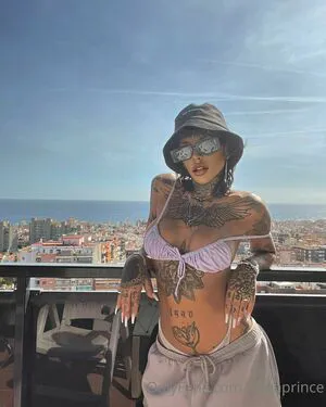 Danaprince Thumbnail Picture