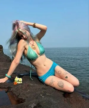 Dietc0kebb Thumbnail Picture