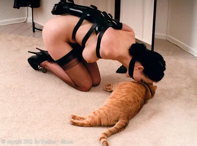 Dita Von Teese OnlyFans Leaked Free Thumbnail Picture - #5SPQkE7INb