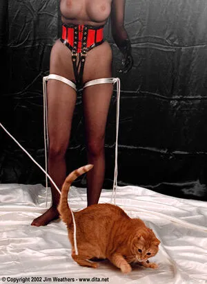 Dita Von Teese OnlyFans Leaked Free Thumbnail Picture - #MICaB80kdW