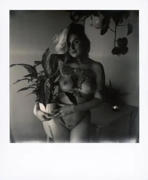 Divinement Bon Thumbnail Picture