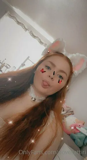 Dovecattiri Thumbnail Picture