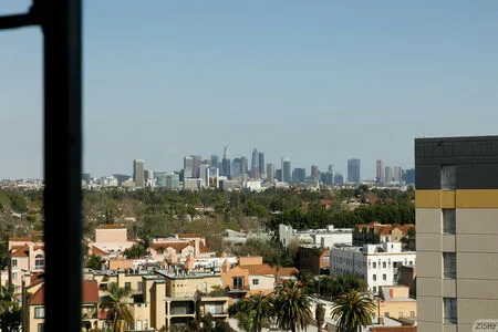 Eimanne El Zein Thumbnail Picture