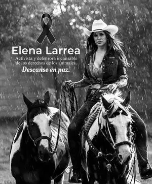 Elenaypunto Thumbnail Picture
