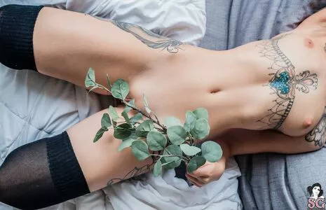 Elisarose OnlyFans Leaked Free Thumbnail Picture - #aecIPfENZu