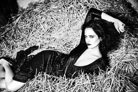 Evagreen Thumbnail Picture