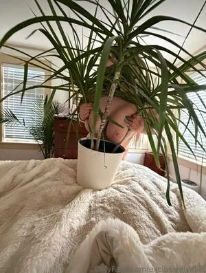 exclusivelyxela OnlyFans Leaked Free Thumbnail Picture - #ElMATJaYeQ