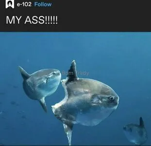 Executionergf OnlyFans Leaked Free Thumbnail Picture - #YW0rIJBDTR