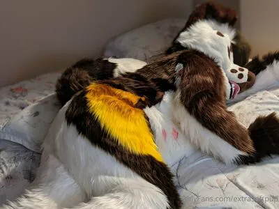 Extrasoftpup OnlyFans Leaked Free Thumbnail Picture - #XnsifBFrKP