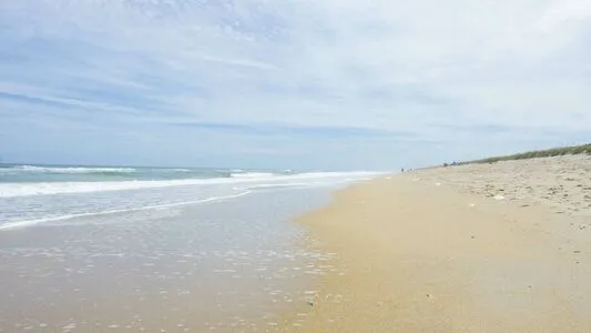 Florida Thumbnail Picture