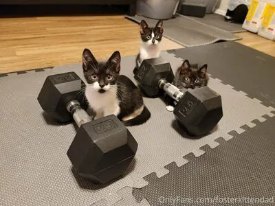 Fosterkittendad OnlyFans Leaked Free Thumbnail Picture - #7NXTU9W3Yu