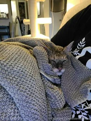 Fosterkittendad OnlyFans Leaked Free Thumbnail Picture - #MOUlXavUWL