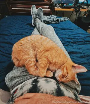 Fosterkittendad OnlyFans Leaked Free Thumbnail Picture - #PLTKs3CWRd