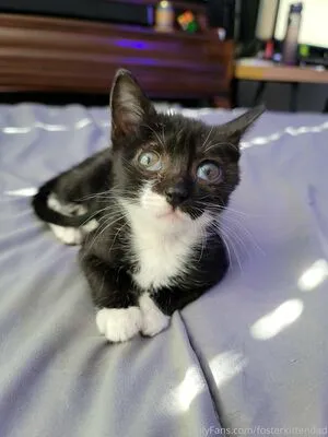 Fosterkittendad OnlyFans Leaked Free Thumbnail Picture - #Toe6RmQ32k