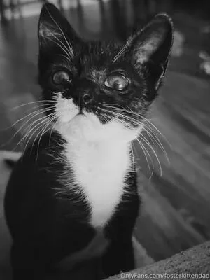Fosterkittendad OnlyFans Leaked Free Thumbnail Picture - #fTxJeM5ryx