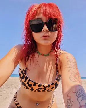 foxrots Thumbnail Picture