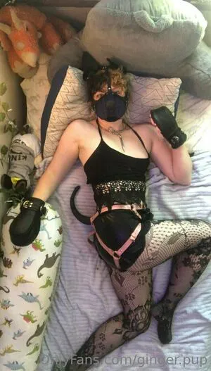 Ginger Pup Thumbnail Picture