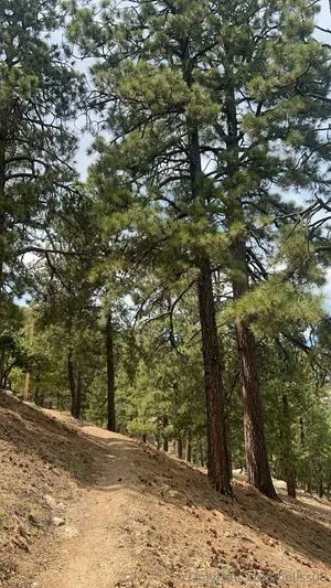Hailss00 Thumbnail Picture